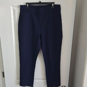 Soft Surroundings Deep Blue Ankle Pants